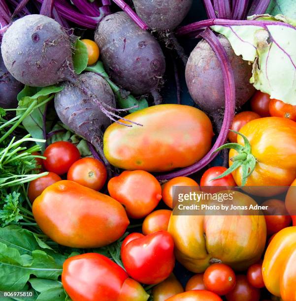 tomatoes - jonas adner stock-fotos und bilder