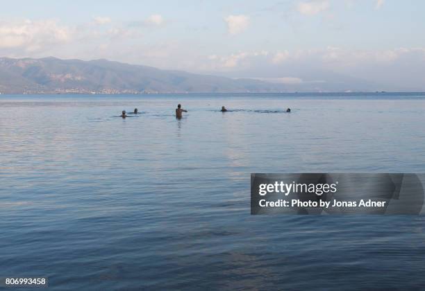 morning swim - jonas adner ストックフォトと画像