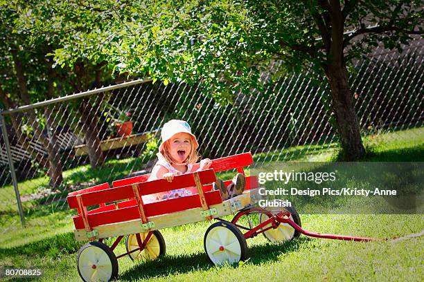 toddler sitting in a red wagon - winnipeg park stock pictures, royalty-free photos & images
