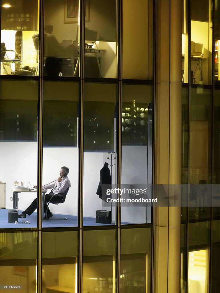 Businessman Telephoning in Office