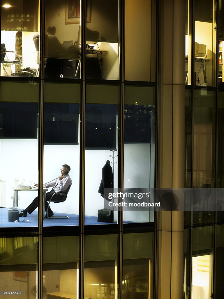 Businessman Telephoning in Office