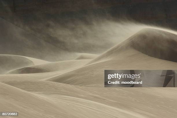 sandstorm in desert - sand storm stock pictures, royalty-free photos & images