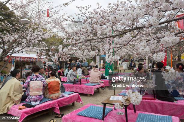 cerezos en flor en kioto, japón - cerezos en flor fotografías e imágenes de stock