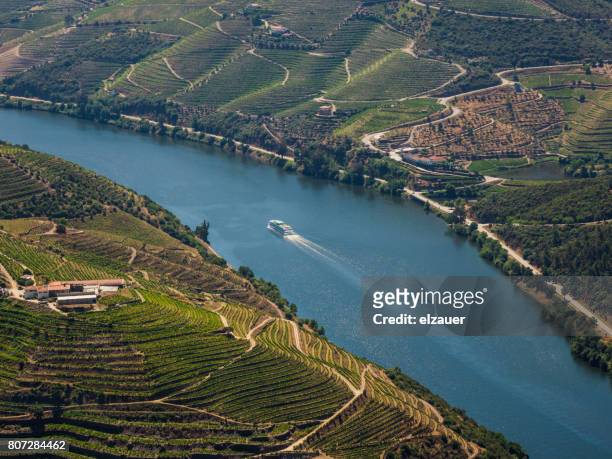 vineyards in douro valley, portugal - vila real district portugal stockfoto's en -beelden