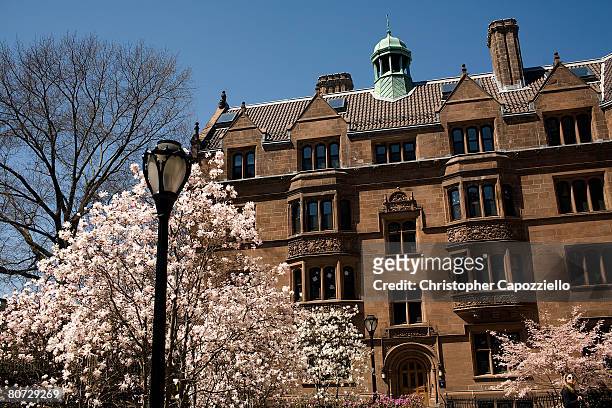 Trees bloom on the campus of Yale University April 16, 2008 in New Haven, Connecticut. New Haven boasts many educational and cultural offerings that...