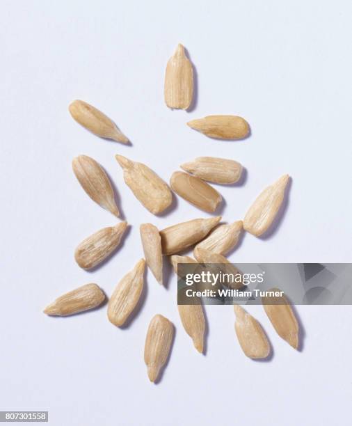 626 William Seeds Stock Photos, HighRes Pictures, and Images Getty