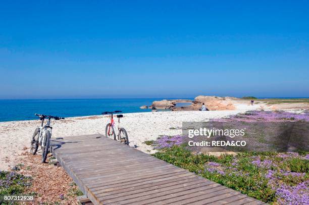 Bicycles on Is Aruttas Beach. Marine Area Mal di Ventre Sinis. Oristano district. Sardinia. Italy. Europe.