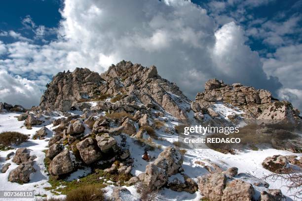 Paesaggio innevato nel Montiferru. Landscape with snow in Montiferru. Santulussurgiu . Sardinia. Italy. Europe.