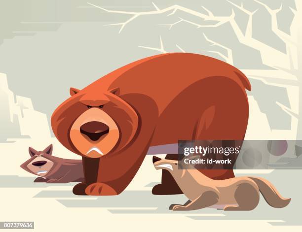 wütenden bären und wölfe - bear attacking stock-grafiken, -clipart, -cartoons und -symbole