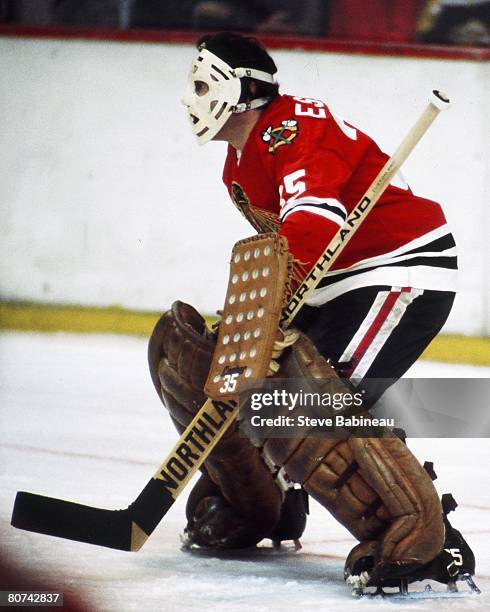 Tony Esposito of the Chicago Black Hawks tends goal in game against the Boston Bruins at Boston Garden Garden.