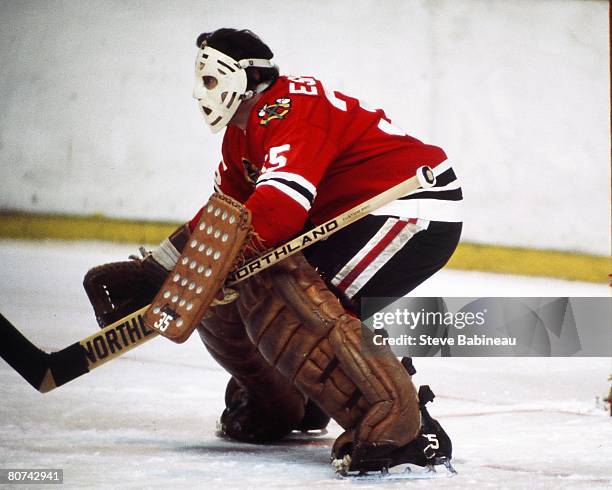 Tony Esposito of the Chicago Black Hawks tends goal in game against the Boston Bruins at Boston Garden Garden.