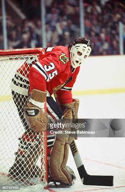 Tony Esposito of the Chicago Black Hawks watches play in corner while tending goal in game against the Boston Bruins at Boston Garden Garden.