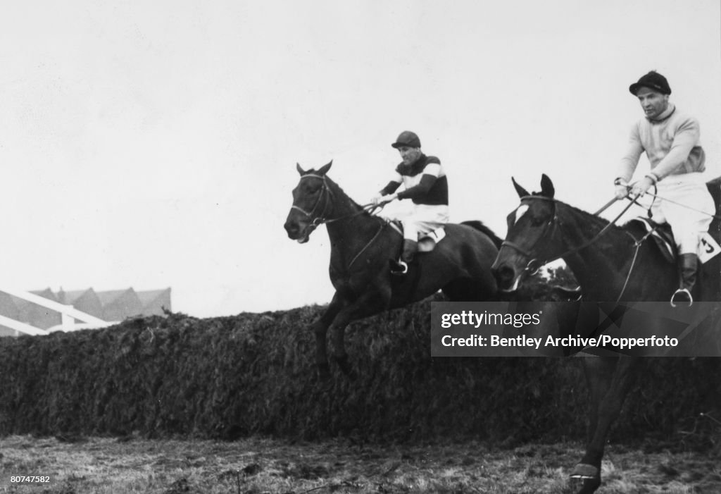Sport Horse Racing. pic: 26th March 1956. 1956 Grand National at Aintree. The Queen Mother's horse Devon Loch ridden by Dick Francis is pictured leading ESB. ridden by Dave Dick over the last fence. Devon Loch, leading by some distance, was to slip on th