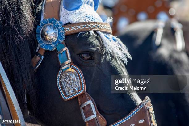 249 Horse Bridle Decoration Stock Photos, High-Res Pictures, and Images -  Getty Images