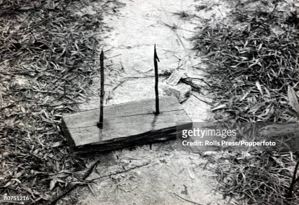 War and Conflict, The Vietnam War, pic: 1965, South Vietnam, Jagged spikes embedded in wood, a Viet Cong booby trap aimed at maiming their enemies,...