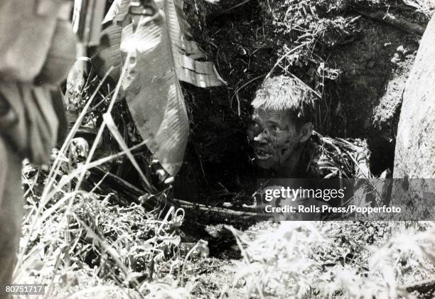 War and Conflict, The Vietnam War, near Tuy Hoa, South Vietnam, pic: July 1966, A wounded Viet Cong soldier is "flushed" from his hiding place by the...