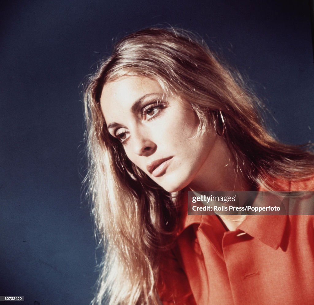 Films Hollywood, California, USA. A miscellaneous studio portrait of American actress Sharon Tate who was found murdered by members of the Manson Family on 9th August, 1969. The cult was headed by serial killer Charles Manson.
