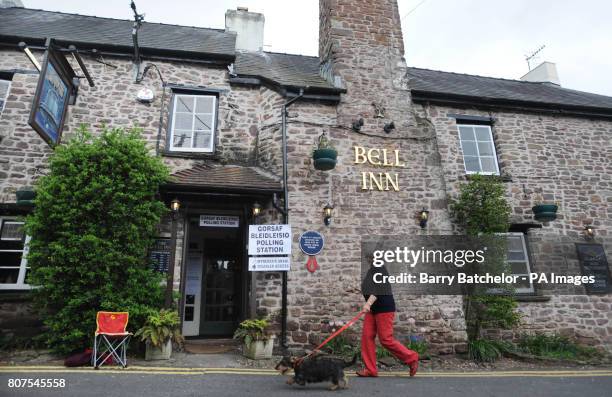 Dinah Price takes a break as a teller at the polling station situated inside the Bell Inn at Caerleon Old Village in Gwent to walk Tasker, her...
