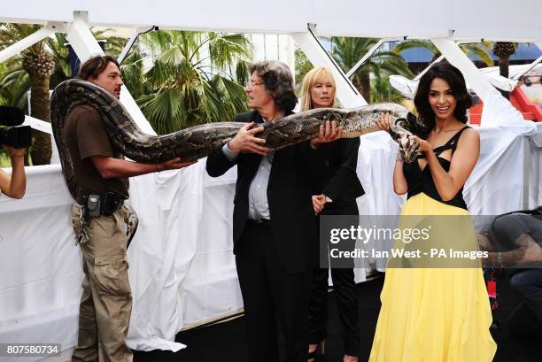 22ft Python 166 Python Muster Stock Photos, High-Res Pictures, and Images - Getty ...