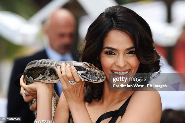 22ft Python 163 Python Muster Stock Photos, High-Res Pictures, and Images - Getty ...
