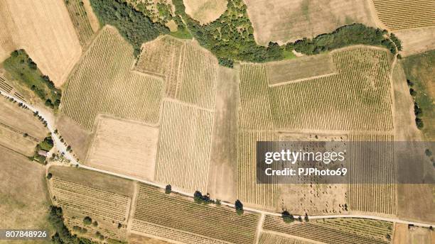 aerial view of a vineyard in piedmont - italy - satellite view stock pictures, royalty-free photos & images