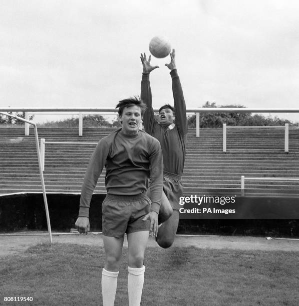 Allen R. Willis 435 Willis Allen Stock Photos, High-Res Pictures, and Images - Getty Images