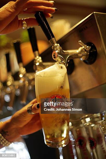 Freshly drawn beer is seen at the "Maisacher Braeustueberl", inn of the Maisach brewery, on April 22, 2008 in Maisach near Munich, Germany. Beer is...