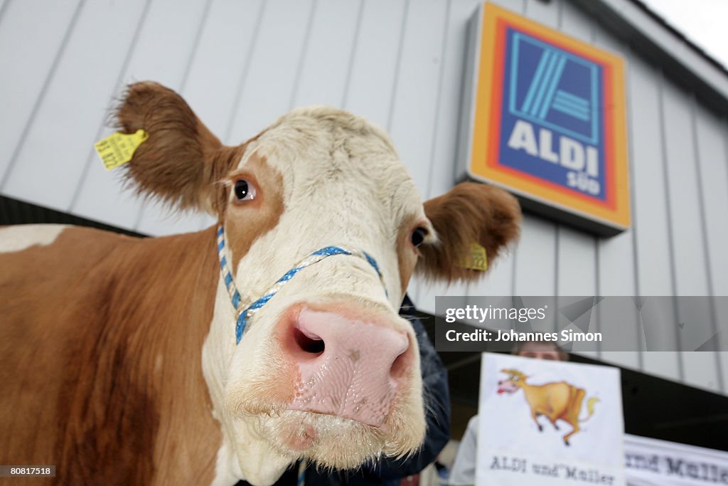 Bavarian Farmers Protest Over Raise Of Milk Prices