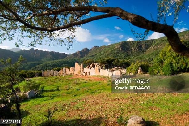 Tombe di Giganti. Altopiano di Osono. Triei. Provincia Ogliastra. Sardinia. Italy.