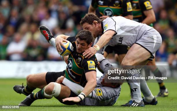 James Craig Rugby 346 James Craig Rugby Player Stock Photos, High-Res Pictures, and ...