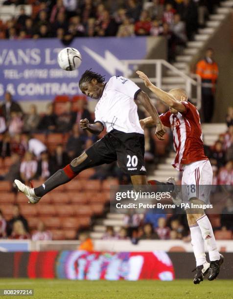 Fulham's Dickson Etuhu and Stoke City's Andy Wilkinson