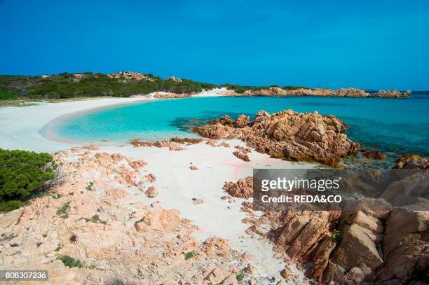 Pink Beach. Spiaggia Rosa or Cala di Roto. Island of Budelli; La Maddalena Archipelago. Bocche di Bonifacio. Sardinia. Italy. Europe.