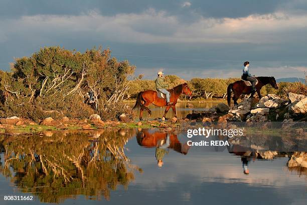 279 Medio Campidano Stock Photos, HighRes Pictures, and Images Getty