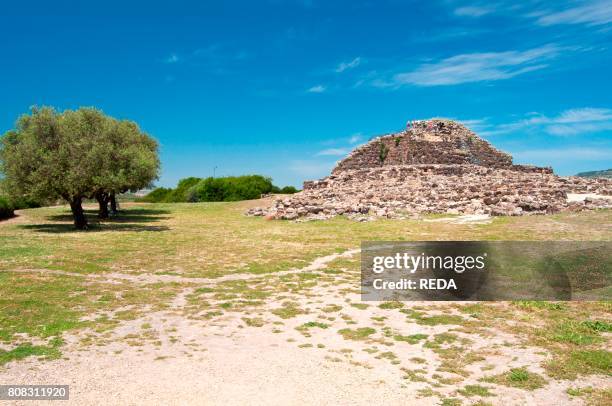 279 Medio Campidano Stock Photos, HighRes Pictures, and Images Getty