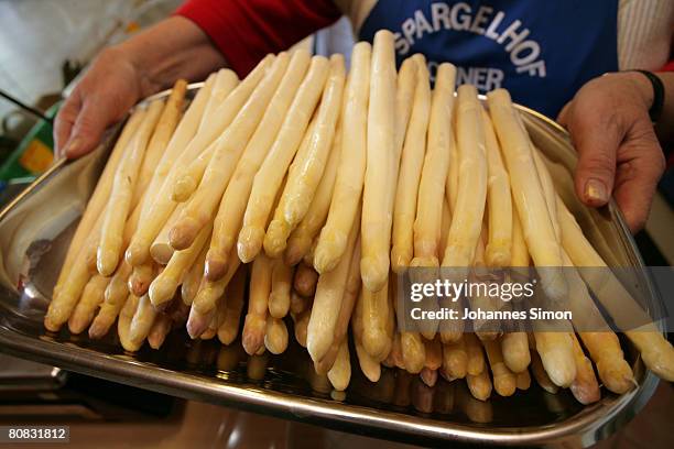 Farmer shows fresh asparagus after the harvest on April 23, 2008 in Inchenhofen, Germany. Every German eats an average of more than one kilo per...