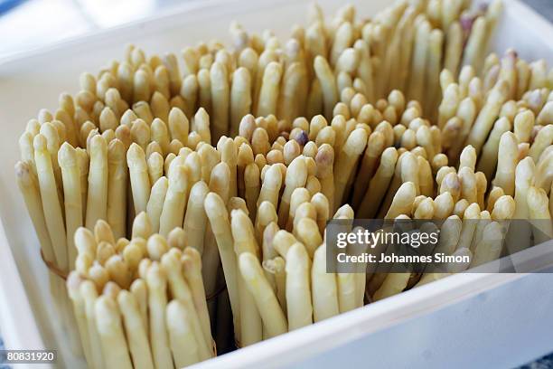 Fresh "baby" asparagus is displayed on the asparagus farm Lohner after the harvest on April 23, 2008 in Inchenhofen, Germany. Every German eats an...