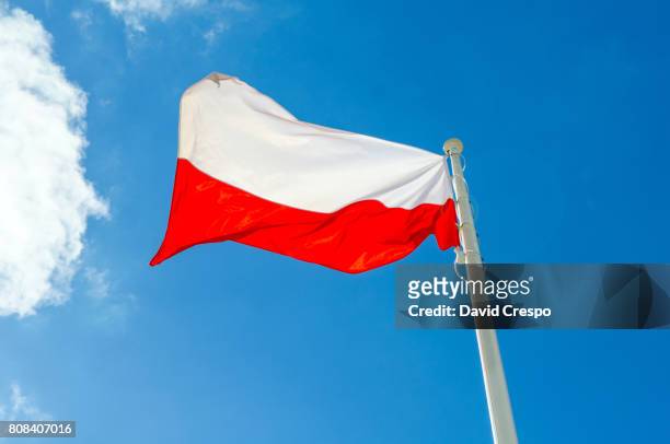 flag of poland - poland stockfoto's en -beelden