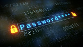 Password Input Field With Padlock