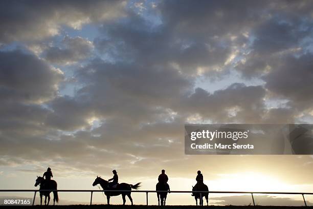 Horses walk along the track at the Palm Meadows stables on April 17, 2008 while traing in Boynton Beach, Florida.