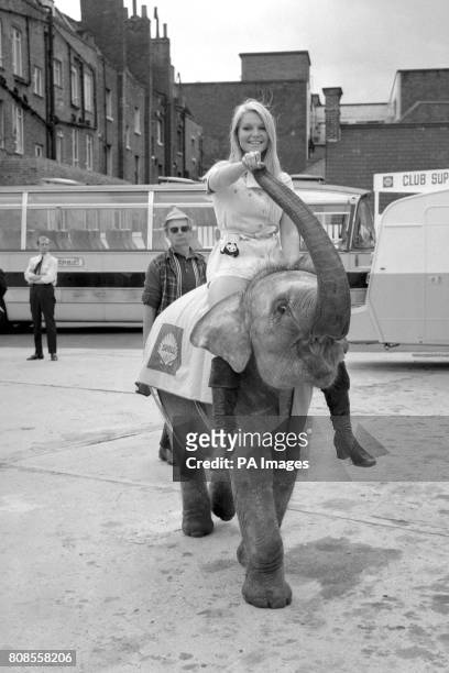 Bella the baby elephant carries former Miss World, Eva Rueber-Staier, in an animal parade at a petrol station at Elephant and Castle, London, to...