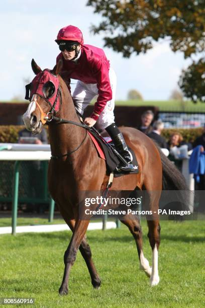 323 Pat Duff Stock Photos, High-Res Pictures, and Images - Getty Images