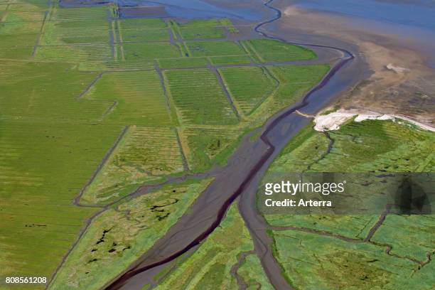 Aerial view over saltmarsh at low tide, Wadden Sea National Park, Schleswig-Holstein, Germany.