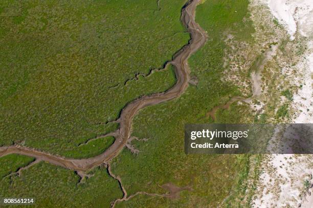 Aerial view over saltmarsh at low tide, Wadden Sea National Park, Schleswig-Holstein, Germany.