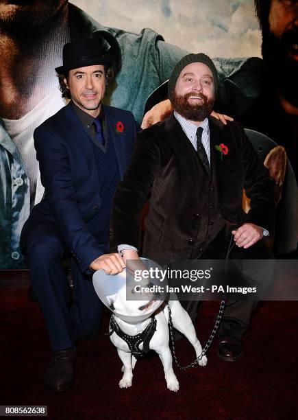 Robert Downey Jr. And Zach Galifianakis with Balu arriving for the European Premiere of Due Date at the Empire, Leicester Square, London.