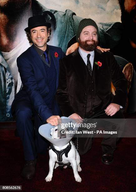 Robert Downey Jr. And Zach Galifianakis with Balu arriving for the European Premiere of Due Date at the Empire, Leicester Square, London.