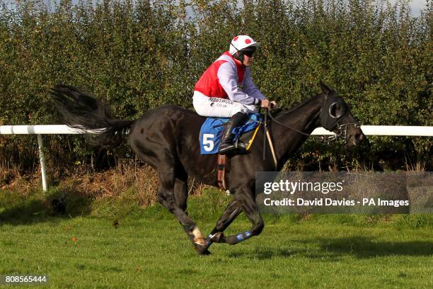 Molloy Racing 148 Tom Molloy On Have Photos & High Res Pictures - Getty Images