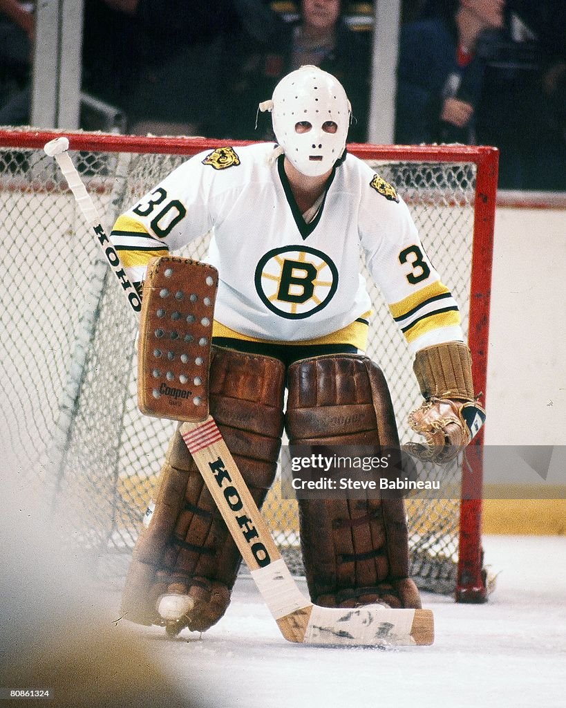Boston Bruins