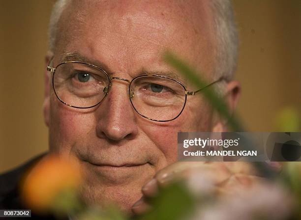Cheney Smiling 427 Dick Cheney Smile Stock Photos, High-Res Pictures, and Images ...