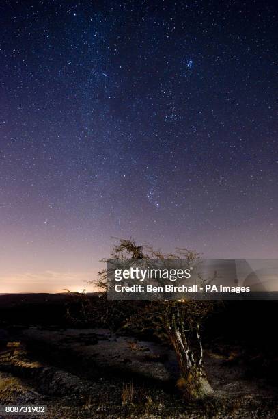 Weathered tree is pictured with the starry night sky over Exmoor National Park.