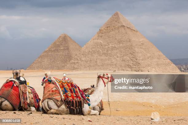 las pirámides de egipto - pirámide de micerinus fotografías e imágenes de stock